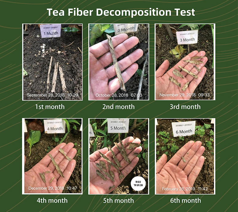 Công nghệ Buletedan