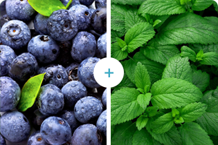 Công nghệ Buletedan