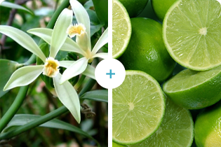 Công nghệ Buletedan